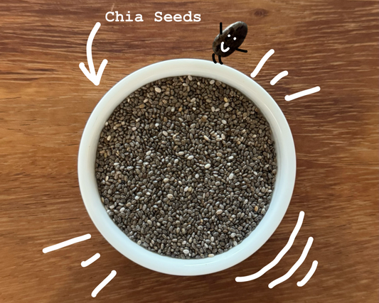 Chia Seeds: Tiny Seeds With Big Digestive Benefits