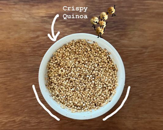 Quinoa: A Seed That Acts Like a Grain